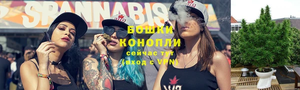PSILOCYBIN Белокуриха