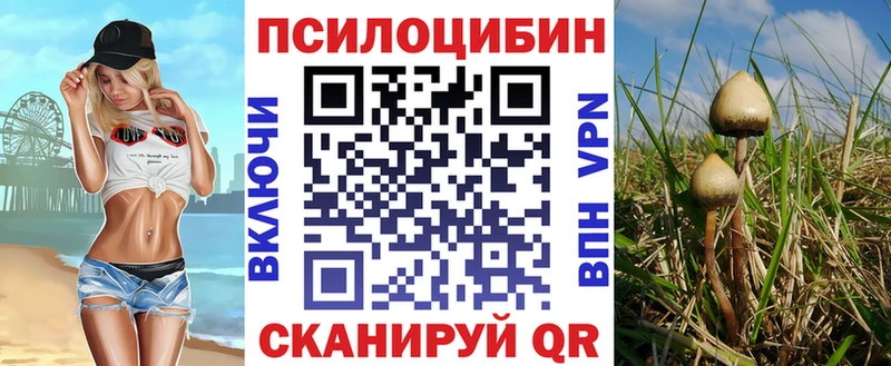 гидра как войти  Минеральные Воды  Псилоцибиновые грибы Magic Shrooms  магазин  наркотиков 